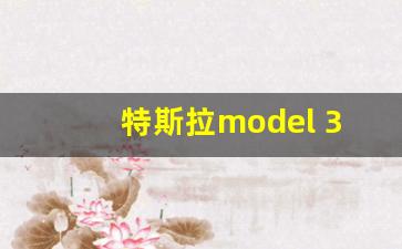 特斯拉model 3落地价格,买特斯拉的十大忠告